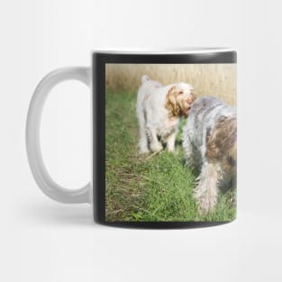 Summer meadow Spinoni Mug